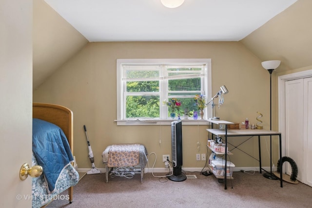 415 W N Blvd, Mchenry, IL 60051 - sitting room featuring lofted ceiling and carpet floors
