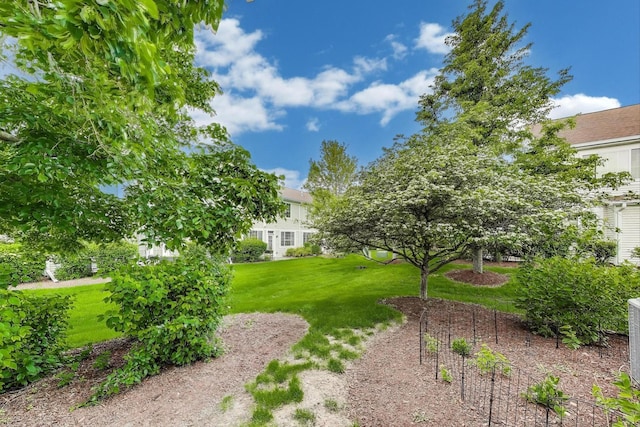 31905 Millard Cir, Warrenville, IL 60555 - view of green lawn