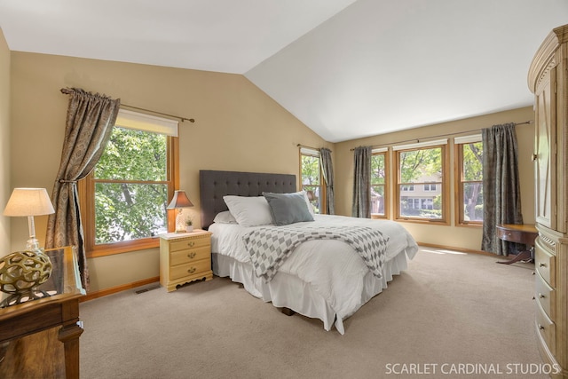 26W568 Lindsey Ave, Winfield, IL 60190 - carpeted bedroom with lofted ceiling and baseboards