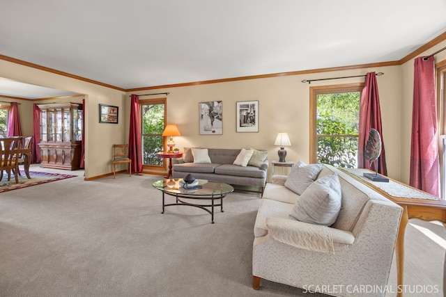 26W568 Lindsey Ave, Winfield, IL 60190 - carpeted living area featuring healthy amount of natural light, baseboards, and crown molding