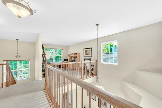 315 Seaton Ct, Lake Zurich, IL 60047 - photo 38