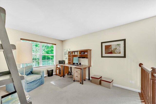 315 Seaton Ct, Lake Zurich, IL 60047 - photo 39