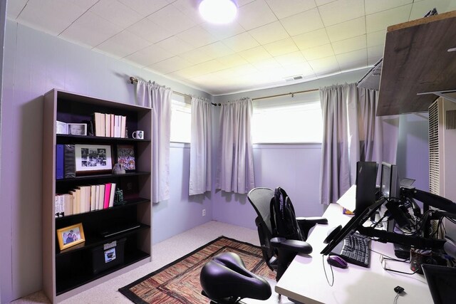 80 Flagstaff Ln, Hoffman Estates, IL 60169 - view of carpeted office space