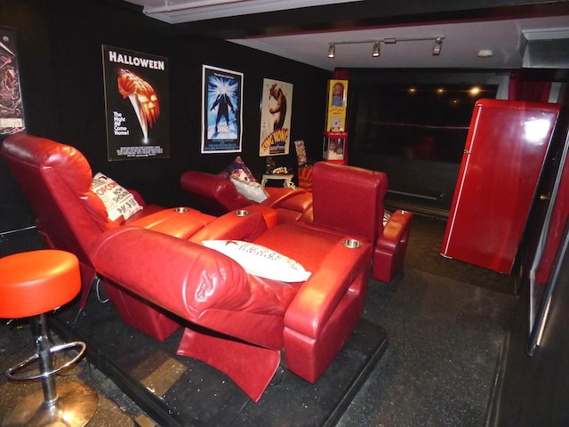 21 Woodland Ave, Elgin, IL 60123 - view of cinema