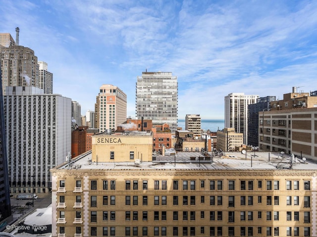 201 E Chestnut St Unit 24C, Chicago, IL 60611 - photo 26