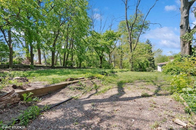 1005 Division St, Lisle, IL 60532 - view of yard