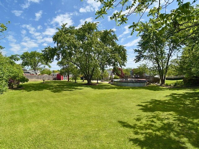9113 Elm Cir, Hickory Hills, IL 60457 - view of yard