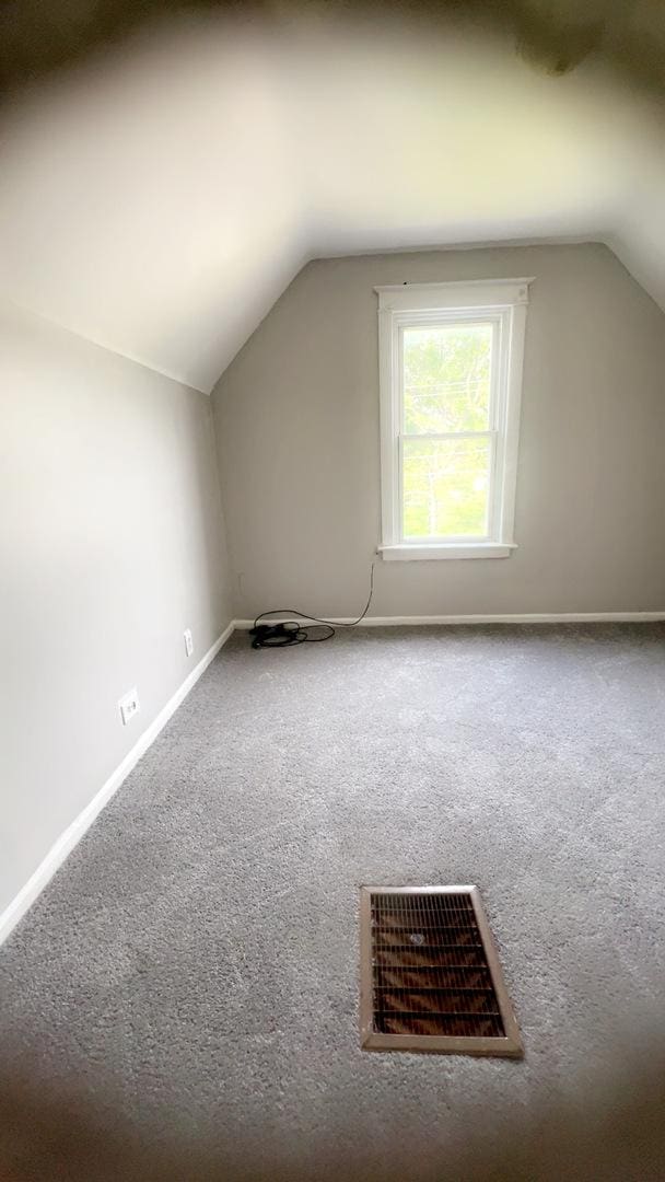 10643 S Calhoun Ave, Chicago, IL 60617 - additional living space with lofted ceiling, carpet flooring, and baseboards