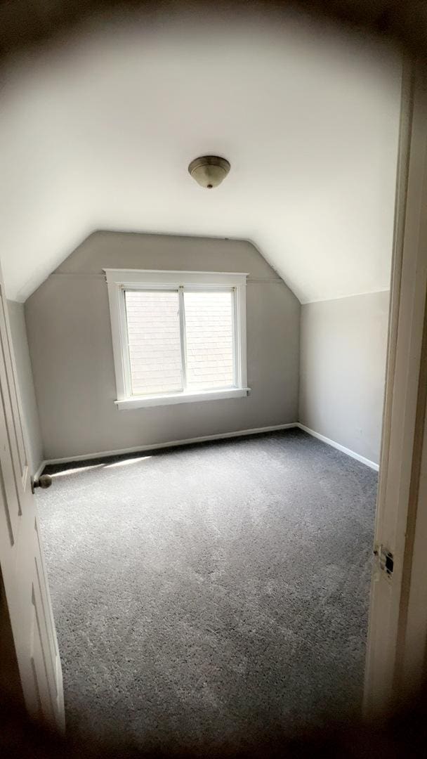 10643 S Calhoun Ave, Chicago, IL 60617 - bonus room with carpet, vaulted ceiling, and baseboards