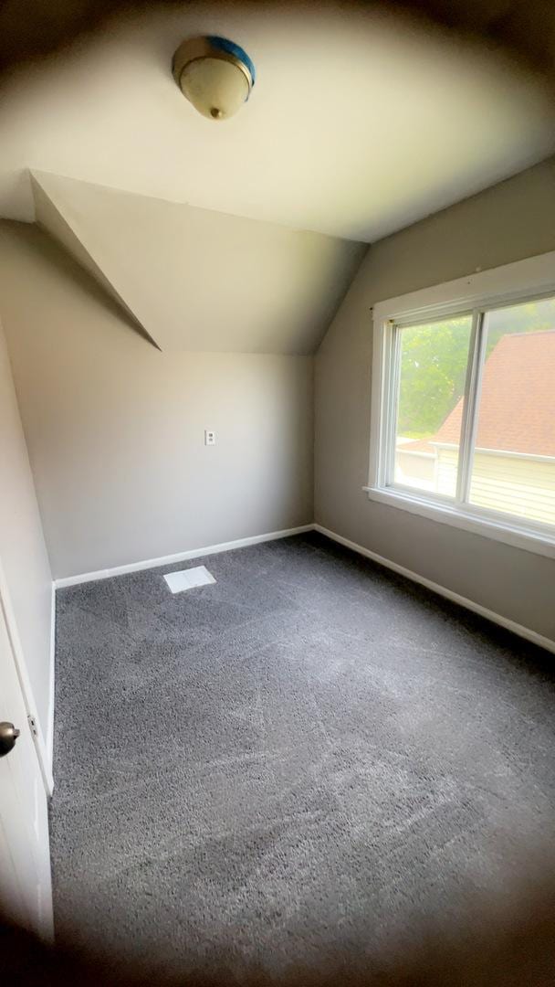 10643 S Calhoun Ave, Chicago, IL 60617 - additional living space with dark carpet, lofted ceiling, and baseboards