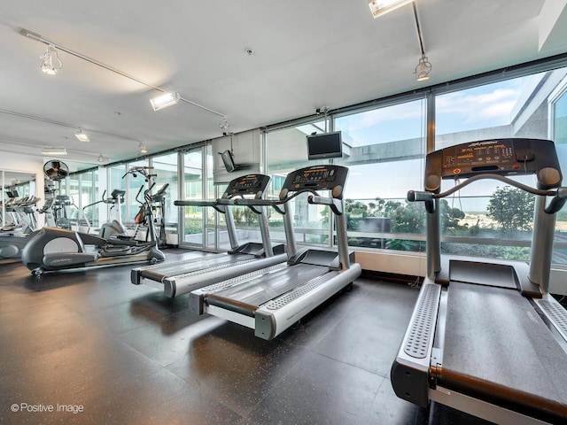 9715 Woods Dr Unit 1104, Skokie, IL 60077 - view of workout area