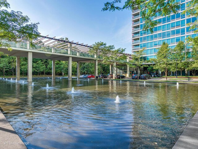 9715 Woods Dr Unit 1104, Skokie, IL 60077 - view of home's community