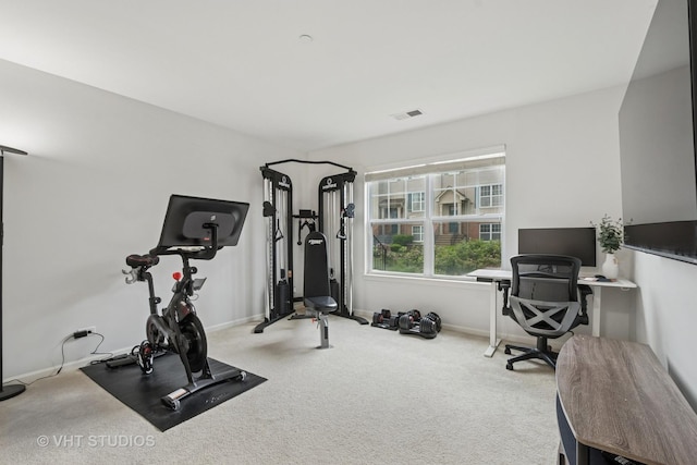 1263 Evergreen Ave, Des Plaines, IL 60016 - exercise area featuring carpet flooring and baseboards