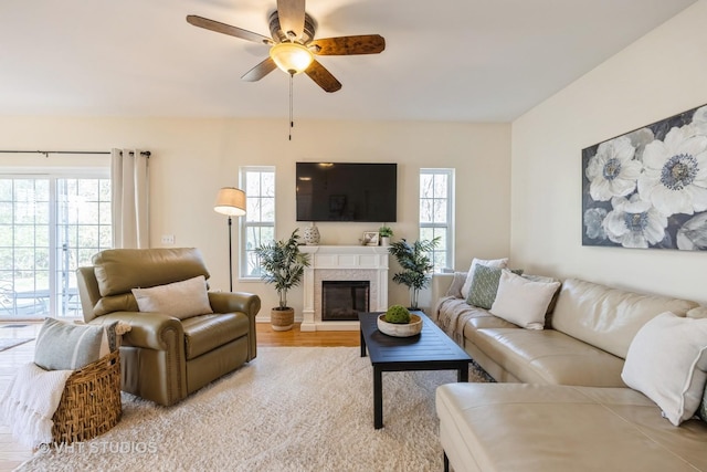 2831 Granite Ct, Crystal Lake, IL 60012 - living room featuring a ceiling fan, light wood-style flooring, and a glass covered fireplace