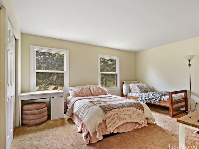 5501 Abbey Dr, Mchenry, IL 60050 - view of carpeted bedroom