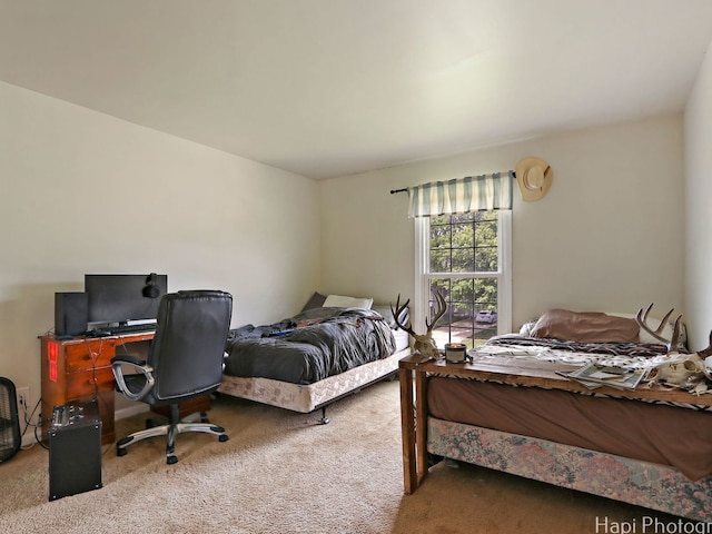 5501 Abbey Dr, Mchenry, IL 60050 - carpeted bedroom featuring an office area