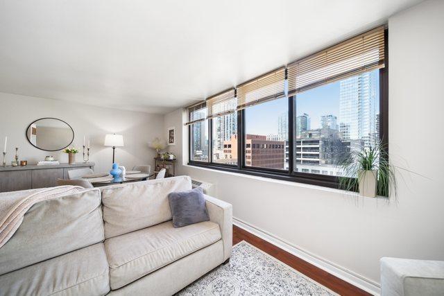 1221 N Dearborn St Unit 810S, Chicago, IL 60610 - living room featuring wood finished floors, plenty of natural light, baseboards, and a view of city