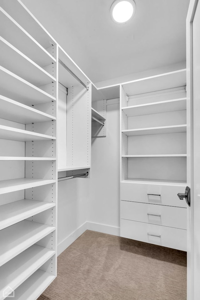 4920 Stonewall Ave, Downers Grove, IL 60515 - spacious closet with carpet floors