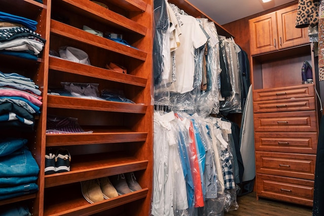 406 Elderberry Ln, Streamwood, IL 60107 - walk in closet with dark wood-type flooring