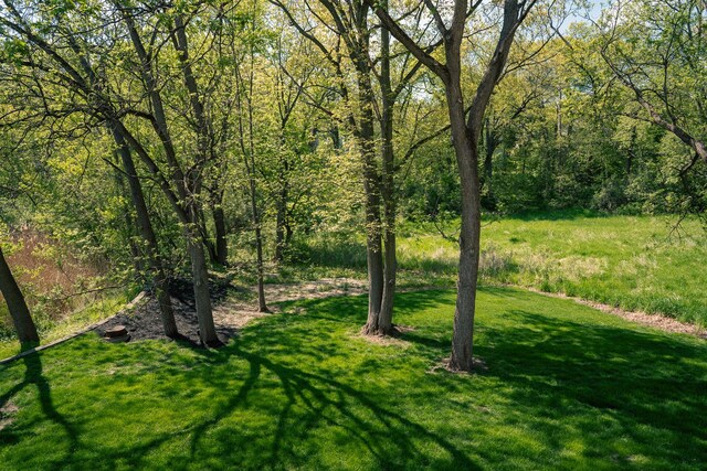 406 Elderberry Ln, Streamwood, IL 60107 - view of grassy yard featuring a view of trees