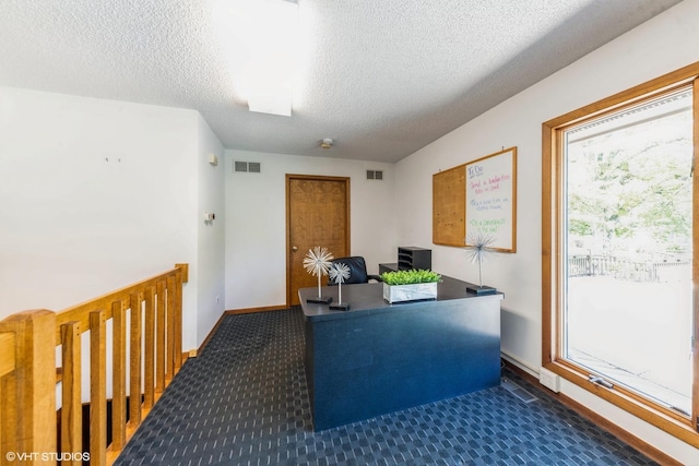 37782 N Cedar Lake Rd, Lake Villa, IL 60046 - home office featuring a textured ceiling and carpet flooring
