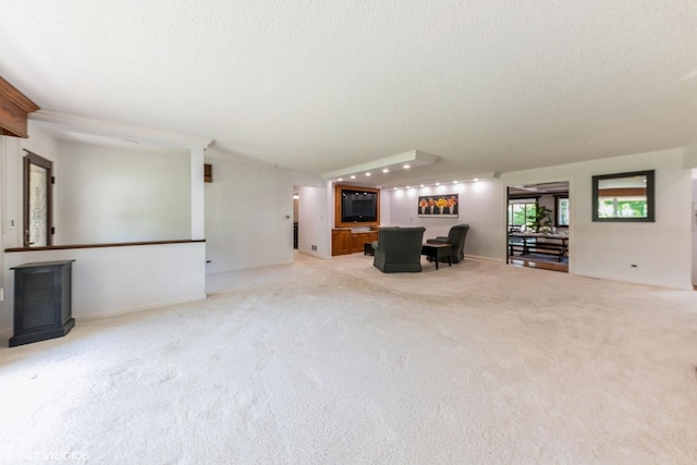 37782 N Cedar Lake Rd, Lake Villa, IL 60046 - unfurnished living room featuring a textured ceiling, light carpet, and a fireplace