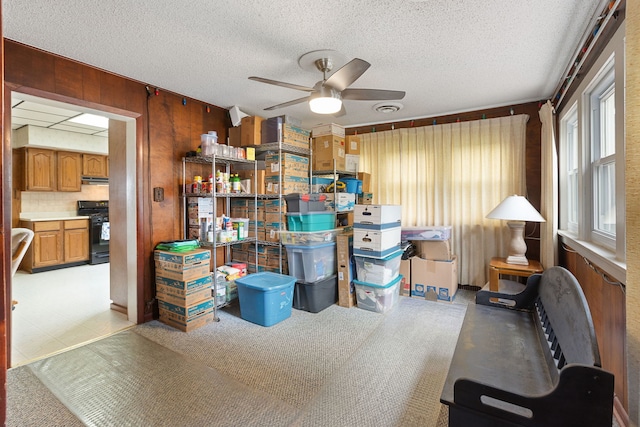 30W311 W Bartlett Rd, Bartlett, IL 60103 - storage with ceiling fan