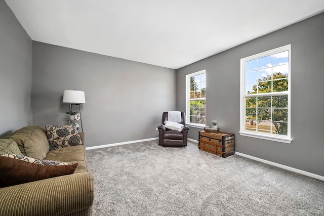 1014 Bayside Ln, Shorewood, IL 60404 - sitting room with carpet floors and baseboards