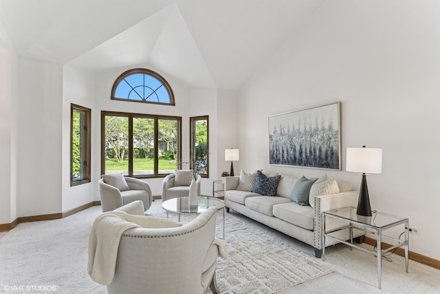3 Lake Katherine Dr Unit 0, Palos Heights, IL 60463 - carpeted living area with baseboards and lofted ceiling