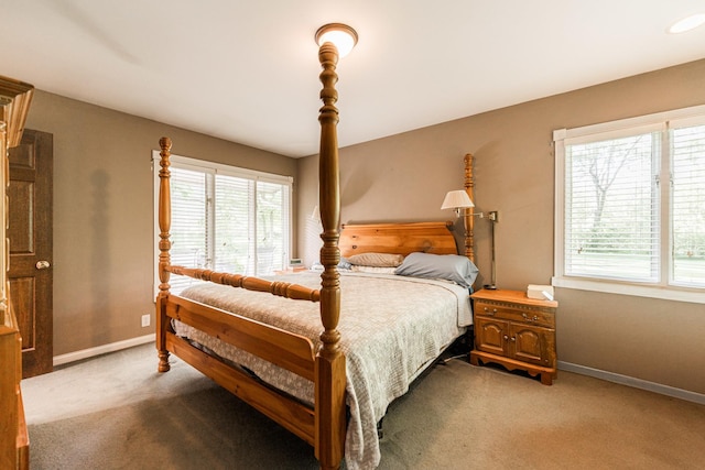3 Timber Trl, Dekalb, IL 60115 - photo 24