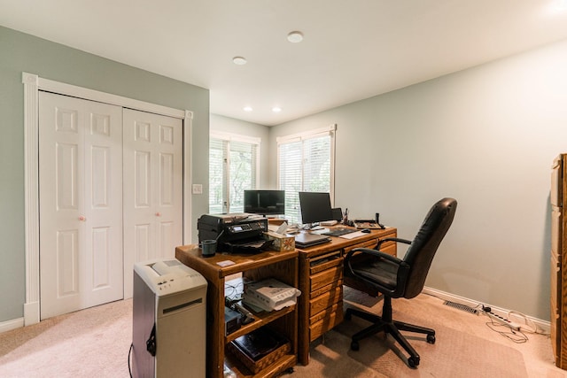 3 Timber Trl, Dekalb, IL 60115 - photo 31