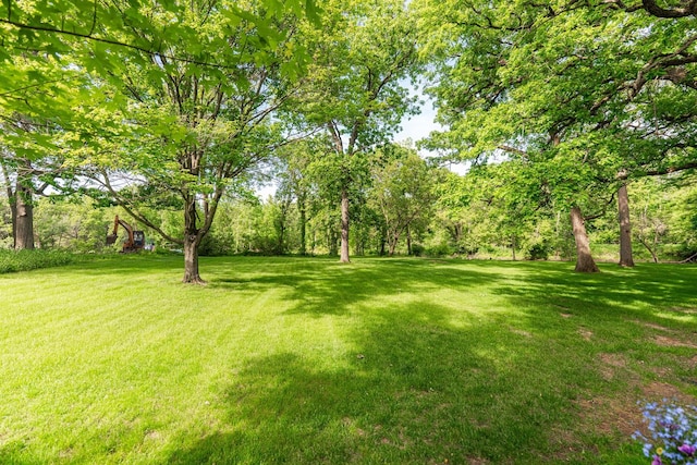 3 Timber Trl, Dekalb, IL 60115 - photo 50