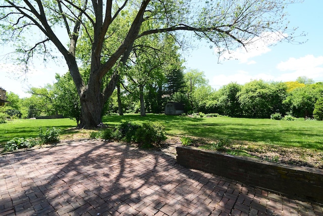 6N002 Laurel Dr, Medinah, IL 60157 - view of patio / terrace