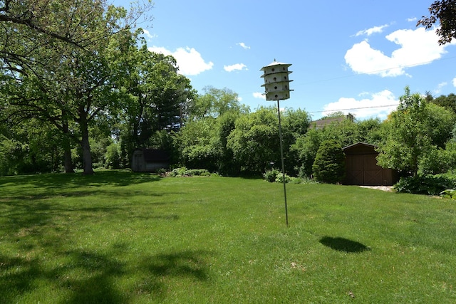 6N002 Laurel Dr, Medinah, IL 60157 - view of green lawn