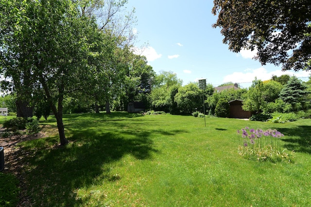 6N002 Laurel Dr, Medinah, IL 60157 - view of green lawn