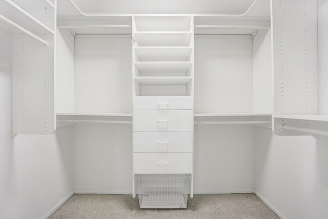 6033 N Sheridan Rd Unit 8E, Chicago, IL 60660 - walk in closet with carpet floors