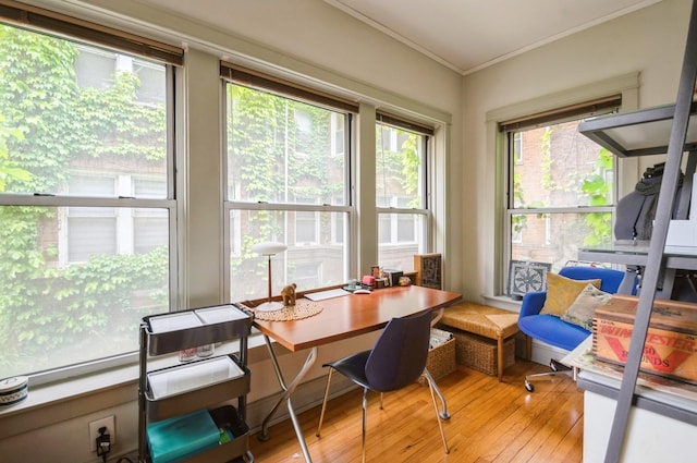 1458 W Argyle St Unit 1N, Chicago, IL 60640 - home office with crown molding and light wood-style flooring