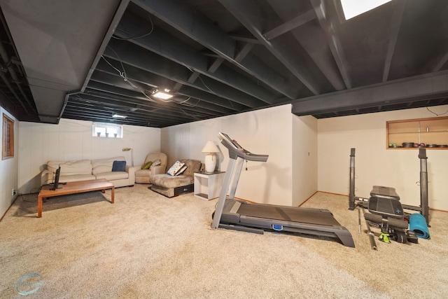 5317 Benton Ave, Downers Grove, IL 60515 - exercise room featuring carpet floors