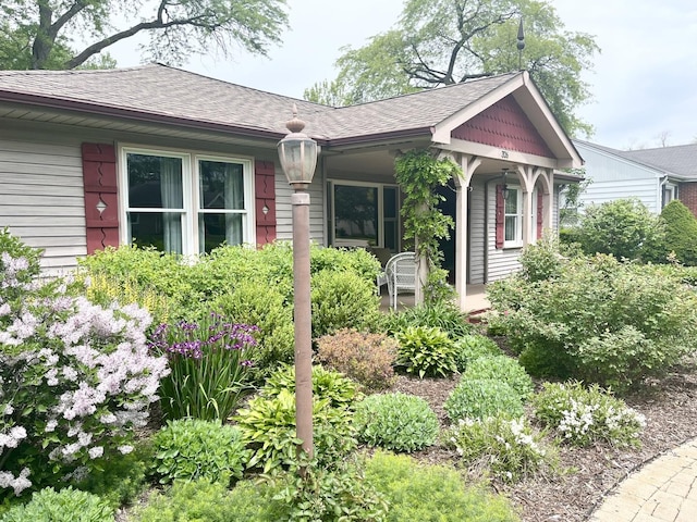 326 Catalpa Ave, Roselle, IL 60172 - view of front of property featuring roof with shingles and covered porch