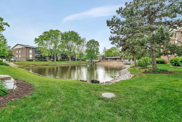 14028 Laramie Ave Unit 1719, Crestwood, IL 60418 - water view