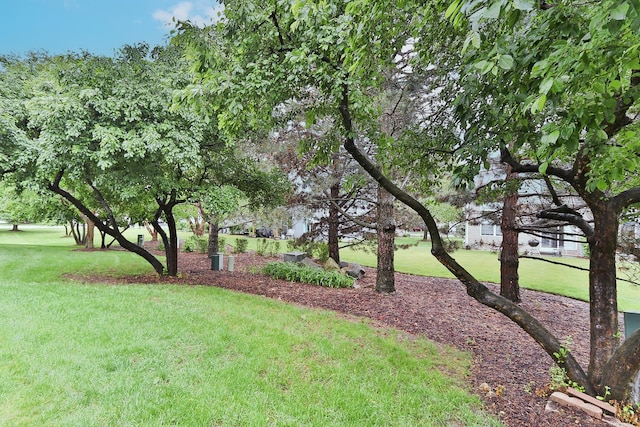 1379 Grandview Ct, Algonquin, IL 60102 - view of grassy yard