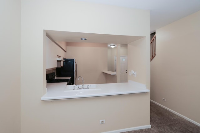 1379 Grandview Ct, Algonquin, IL 60102 - kitchen featuring stove, a sink, dark carpet, baseboards, and freestanding refrigerator