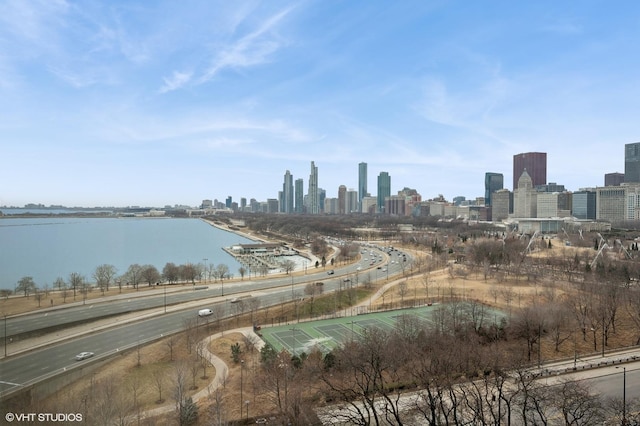 155 N Harbor Dr Unit 1103, Chicago, IL 60601 - water view featuring city skyline