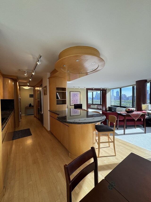 155 N Harbor Dr Unit 1103, Chicago, IL 60601 - kitchen with light wood finished floors, track lighting, dark stone countertops, a peninsula, and modern cabinets