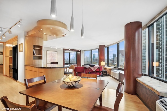 155 N Harbor Dr Unit 1103, Chicago, IL 60601 - dining room with track lighting, light wood finished floors, and a skyline view