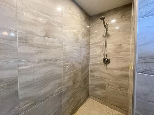 6010 Peart Rd, Morris, IL 60450 - full bathroom with a tile shower