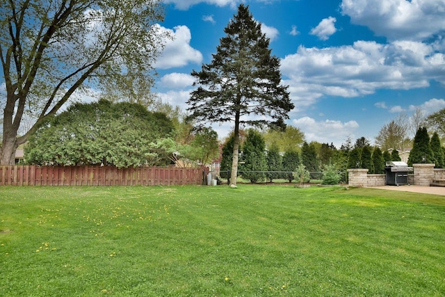 179 Old Forge Rd, Elgin, IL 60123 - view of yard with an outdoor kitchen