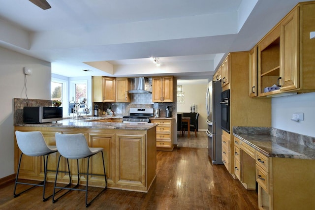 179 Old Forge Rd, Elgin, IL 60123 - kitchen featuring stainless steel appliances, wall chimney exhaust hood, a tray ceiling, a peninsula, and dark wood-style flooring