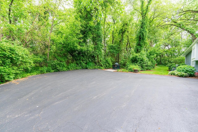 41W877 Hunters Rdg, Saint Charles, IL 60175 - view of asphalt road