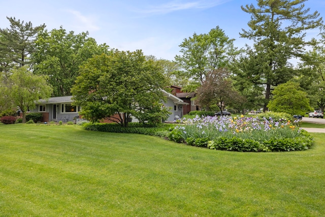 22W300 Arbor Ln, Glen Ellyn, IL 60137 - view of green lawn